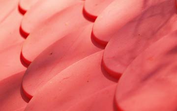 Birks plastic roof costs